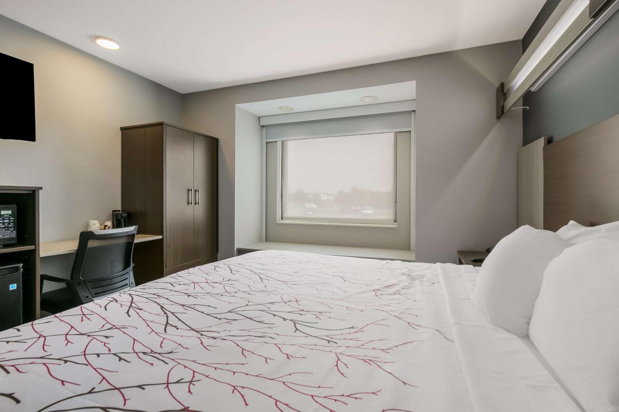 Surestay Plus Hotel By Best Western Sevierville Eksteriør billede